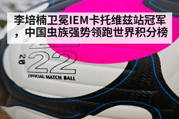 李培楠卫冕IEM卡托维兹站冠军,中国虫族强势领跑世界积分榜