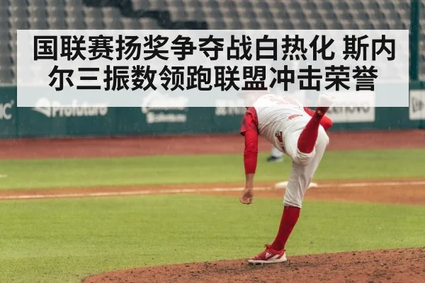 国联赛扬奖争夺战白热化 斯内尔三振数领跑联盟冲击荣誉