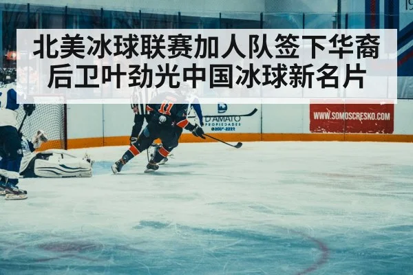 北美冰球联赛加人队签下华裔后卫叶劲光中国冰球新名片