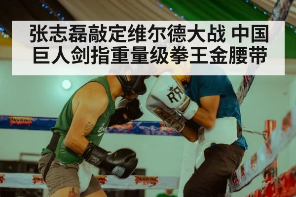 张志磊敲定维尔德大战 中国巨人剑指重量级拳王金腰带